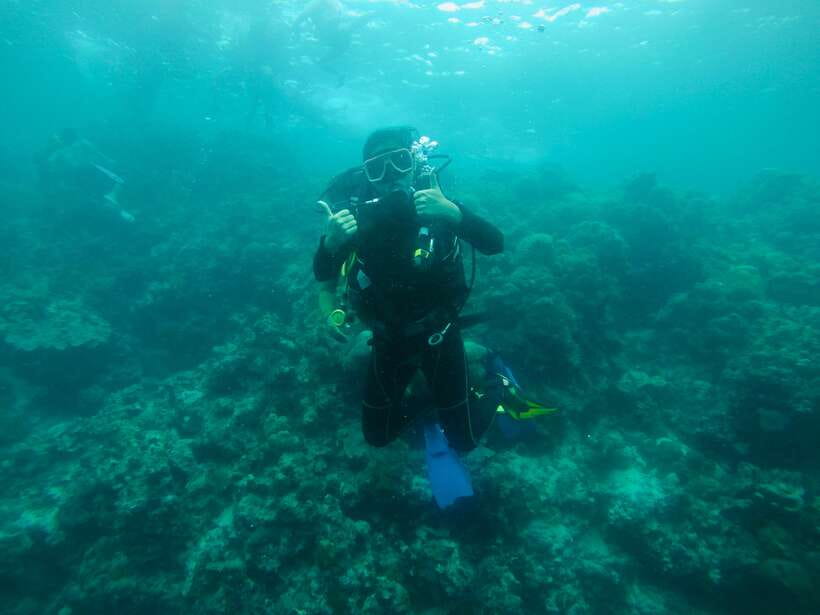 Cebu: Moalboal Scuba Diving with Sardines and Turtle Snorkel - Comfort tips for a long water day