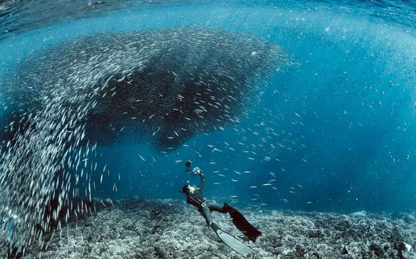 Cebu: Moalboal Scuba Diving with Sardines and Turtle Snorkel - How the day usually flows from your pickup to the water stops
