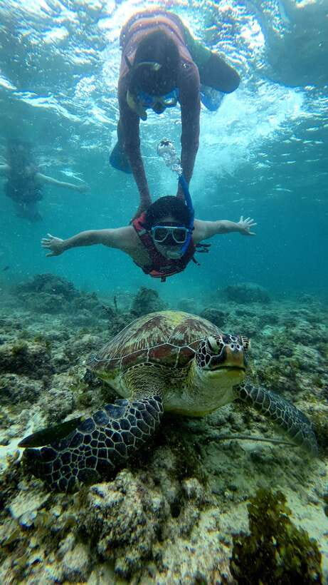 Cebu: Moalboal Snorkeling, Mantayupan Falls & ATV Adventure - Price Value: What $117 Per Person Covers