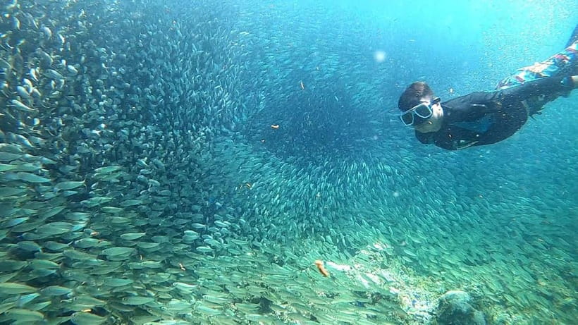 Cebu: Moalboal Snorkeling, Mantayupan Falls & ATV Adventure - Barili ATV Adventure: Beginner-Friendly Riding With Real Countryside Tracks