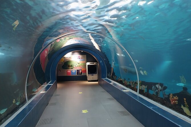 Cebu Ocean Park - Key Things You Should Know Before You Go