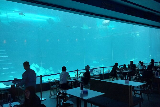 Cebu Ocean Park - Cebu Ocean Park: A Big Aquarium Visit With Real Animals Up Close