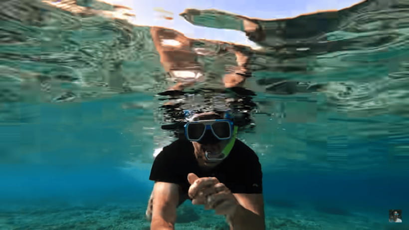 Cebu: Oslob Whale Shark and Moalboal Snorkeling Tour - Guide quality and what you actually get in the water