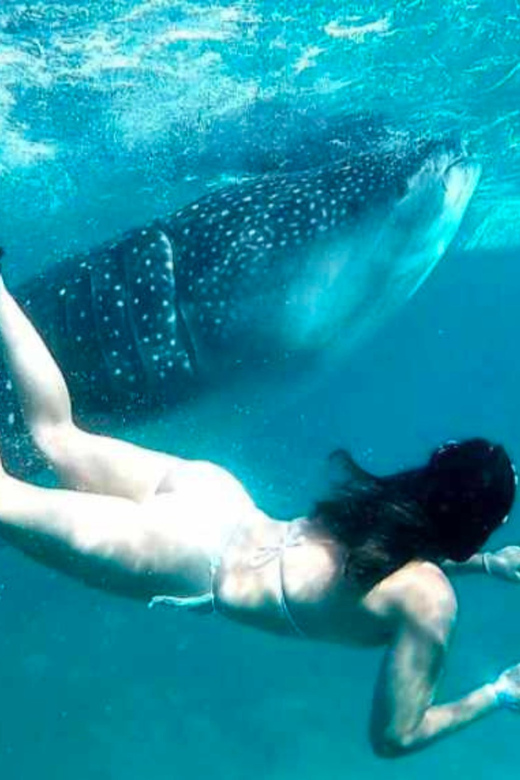 Cebu: Oslob Whale Shark, Sumilon, Ruins, Simala Church - Sumilon Island Sandbar: White Sand, Clear Water, and a Real Break