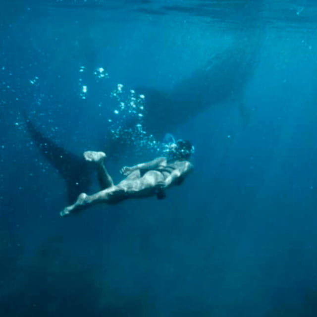 Cebu: Oslob Whale Shark, Sumilon, Ruins, Simala Church - Early 3 AM Pickup, 14 Hours of Motion, and the End Point