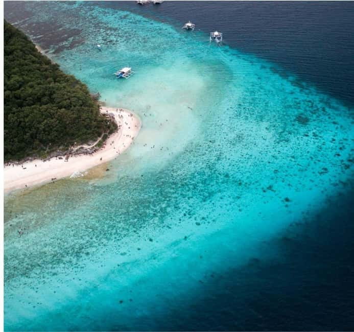 Cebu: Oslob Whale Shark Swim and Sumilon Island Day Tour - The whale shark encounter: what you’ll actually experience in Oslob