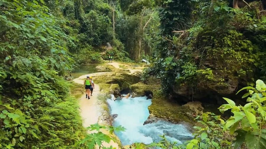 Cebu:Oslob Whale Shark Swimming & Kawasan Falls Canyoneering - Group Size, Pace, and Why Private Can Change the Experience