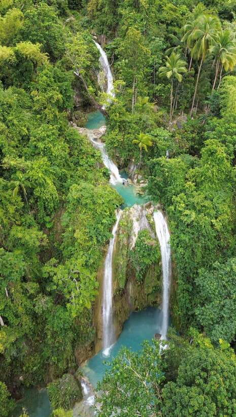 Cebu Oslob Whaleshark, Moalboal Sardines Run&Inambakan Falls - Oslob Whale Sharks: the early start, the water time, and what you should expect