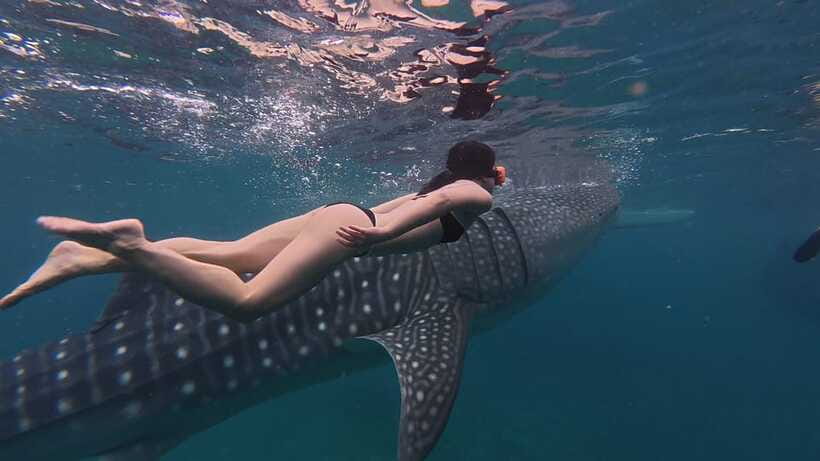 Cebu Oslob Whaleshark, Moalboal Sardines Run&Inambakan Falls - Inambakan Falls: a quick guided pause for photos and a cold splash