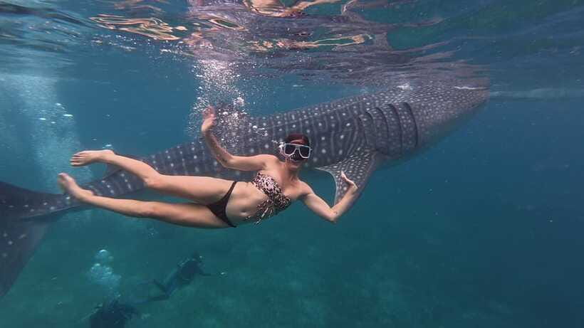 Cebu Oslob Whaleshark, Moalboal Sardines Run&Inambakan Falls - Who should book this Cebu day trip, and who should reconsider?
