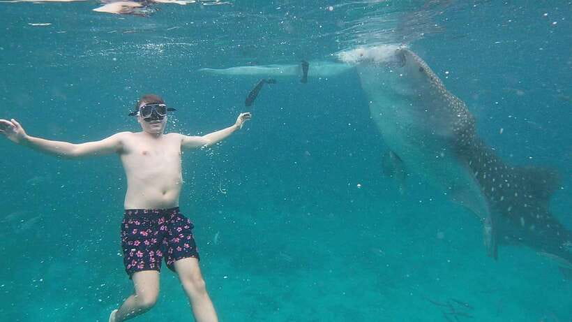 Cebu: Oslob Whaleshark & Sardines Run Snorkeling Day Tour - Gear, photos, and getting the best results with limited equipment
