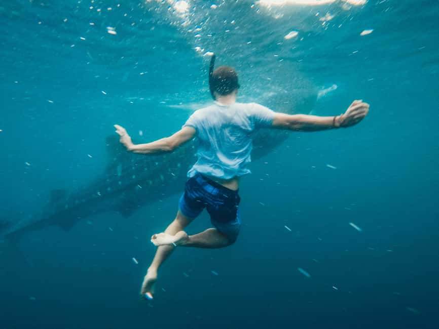 Cebu:Oslob WhaleSharkWatching,Kawasan Canyoneering - Key things to know before you go