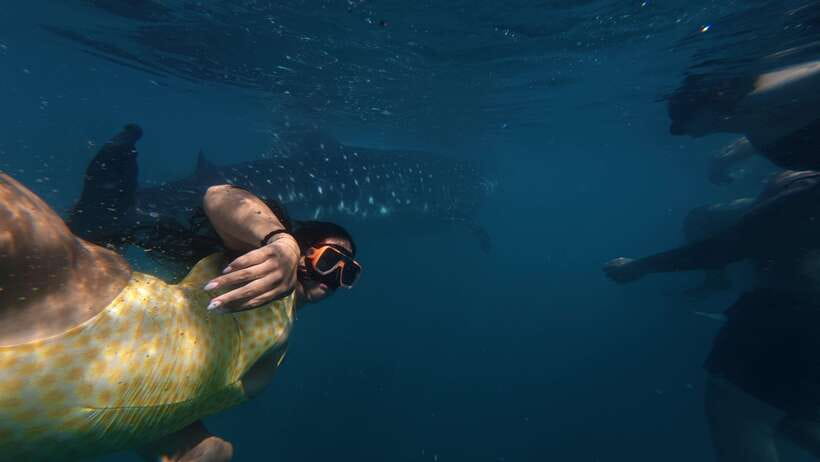 Cebu:Oslob WhaleSharkWatching,Kawasan Canyoneering - Zipline Optional Time: If You Want One More Adrenaline Hit