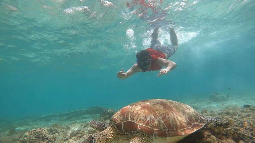 Cebu: Pescador Island, Sardines run and Kawasan Canyoneering - What’s included, what to bring, and gear you should plan for