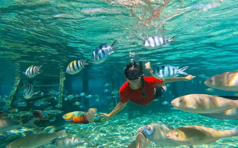 Cebu: Private Mactan Island Hopping Tour with Lunch - Gilutungan Island snorkel: protected water and coral garden cruising