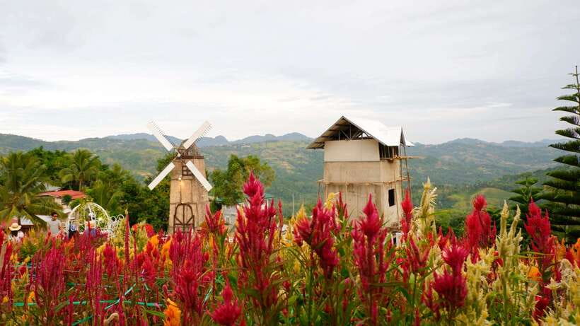 Cebu: Private Panoramic Tour with Dinner - Why The Tops and Sirao Garden are built for an evening in Cebu