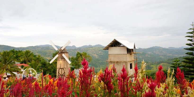 Cebu: Private Panoramic Tour with Dinner - Price and value at around $100 per person
