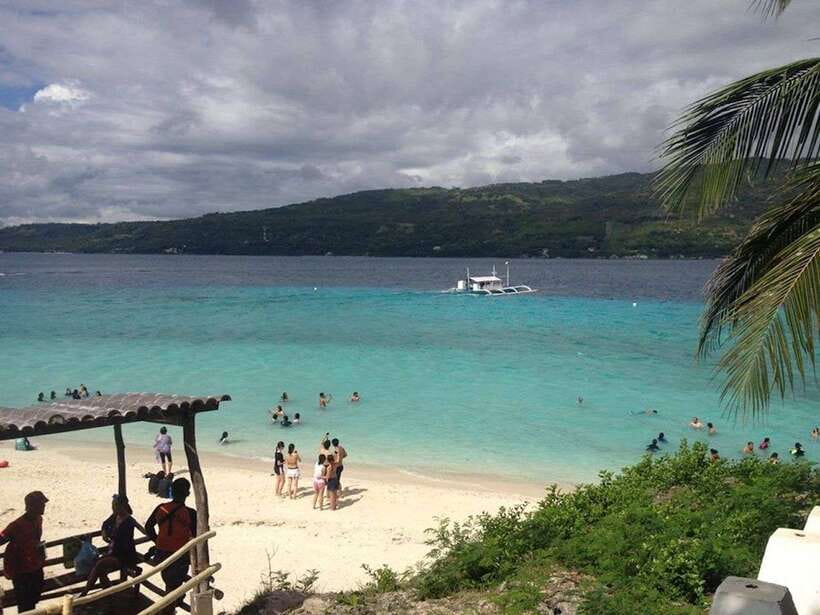 Cebu: Private Sumilon Island & Optional Whale Shark Swim - Key points to know before you go