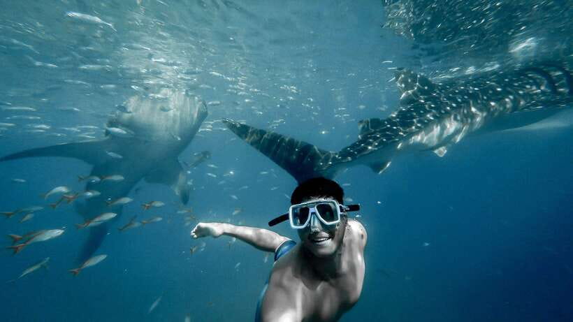 Cebu: Private Sumilon Island & Optional Whale Shark Swim - Sumilon Island in Cebu: what makes this private day different