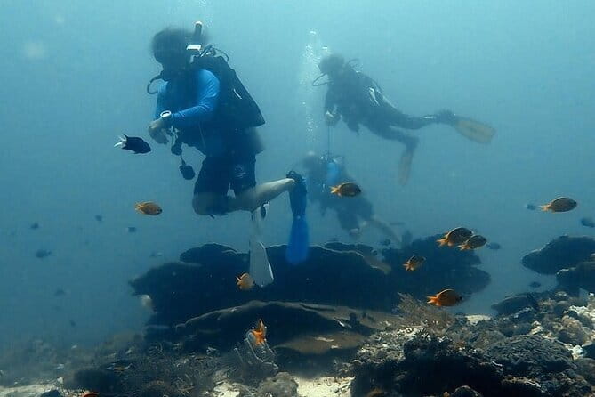 Cebu Private Tour 3 Islands Hopping Gilutungan Caohagan Nalusuan - What’s included, and what you still need to bring