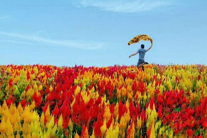 Cebu: Private Twin City Tour +Temple of Leah + Sirao Flower Farm - Meet Your Team: Rio, Rico, Oscar, and Arnel Make the Day Go Smoothly