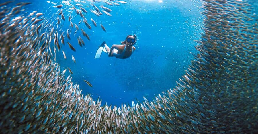 Cebu: Sardine Run Snorkeling, Mantayupan Falls & ATV Thrills - How the 1-Day Schedule Feels in Real Life