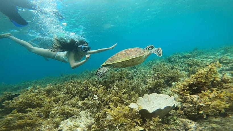 Cebu: Sardine Run Snorkeling, Mantayupan Falls & ATV Thrills - Who Should Book This Cebu Combo Day, and Who Should Skip It