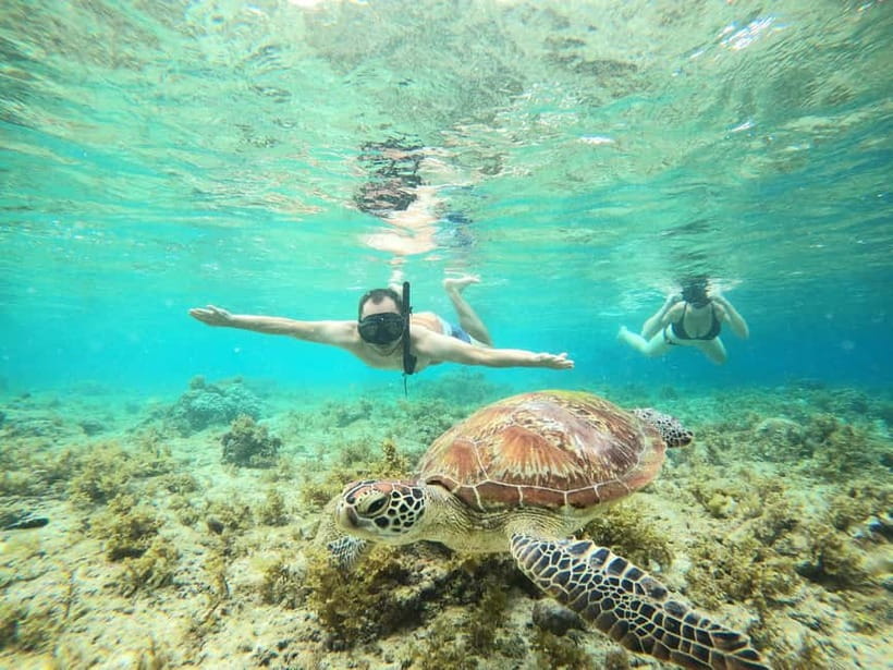 Cebu: Sardine Run Snorkeling, Mantayupan Falls & ATV Thrills - Mantayupan Falls Swim, Two Tiers, and the Bamboo Raft Option