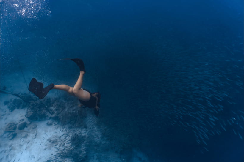 Cebu: Sardine & Turtle Snorkelling Run & Mantayupan Falls - Sea Turtle Snorkelling With Green and Hawksbill Help