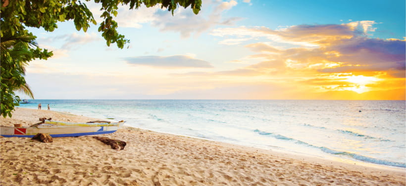 Cebu: Sardine & Turtle Snorkelling Run & Mantayupan Falls - Price and Value at $121: What You’re Really Paying For