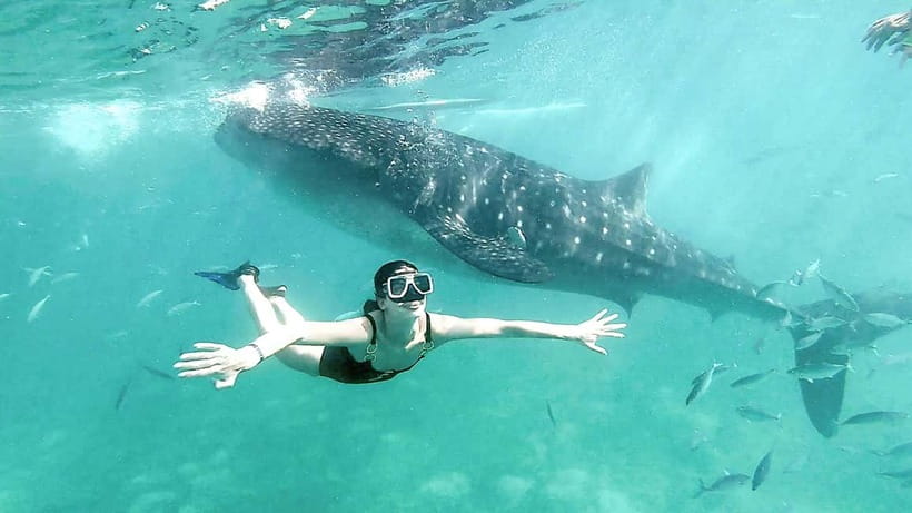 Cebu Shared Tour: Whaleshark Swimming & Kawasan Canyoneering - Oslob whale sharks: boat ride, snorkeling time, and the sunrise feel