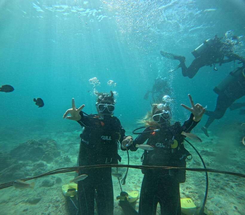 Cebu: Snorkeling + 3 Water Activity Tour - Snorkeling Time: What You’ll Enjoy and the Animal Rule