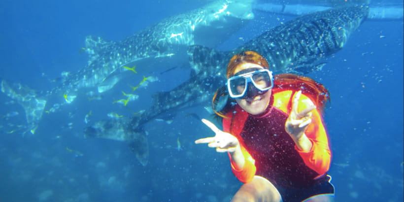 Cebu: Sumilon Sand Bar, Whale Sharks & Sardines Snorkeling - Transportation realities: comfortable transfers, long roads, big effort