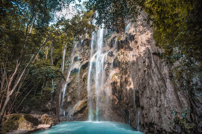 Cebu Whale Shark Encounter, Moalboal Sardines & Tumalog Falls - The 4:00 am Start and the Long Road Between Oslob and Moalboal