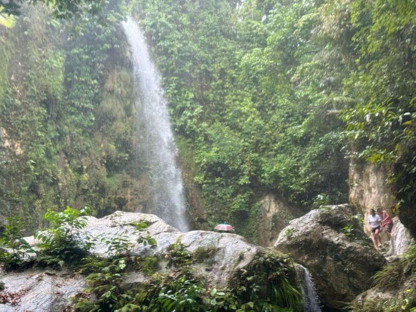 Cebu: Whale Shark, Inambakan Falls & Moalboal Sardine Tour - Whale Sharks in Oslob, the most important first impression