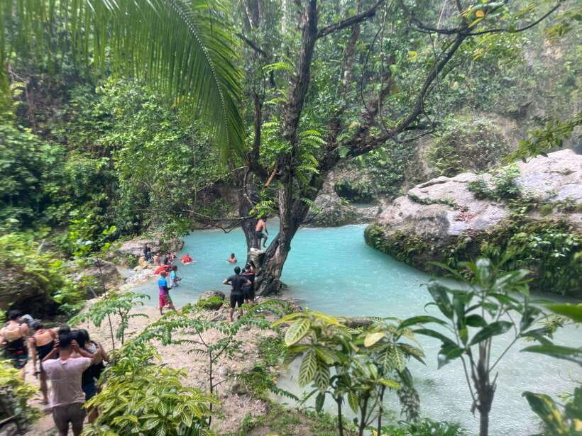 Cebu: Whale Shark, Inambakan Falls & Moalboal Sardine Tour - Timing and logistics, why this day can feel long