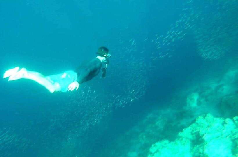 Cebu: Whale Shark, Inambakan Falls & Moalboal Sardine Tour - Transportation comfort, and why the vehicle choice matters