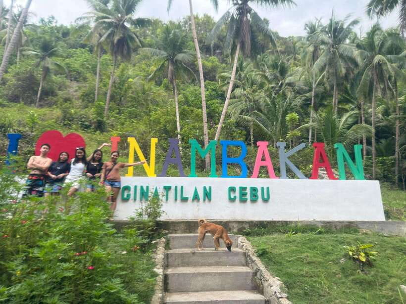Cebu: Whale Shark, Inambakan Falls & Moalboal Sardine Tour - Moalboal sardine run snorkeling, the reef show people talk about