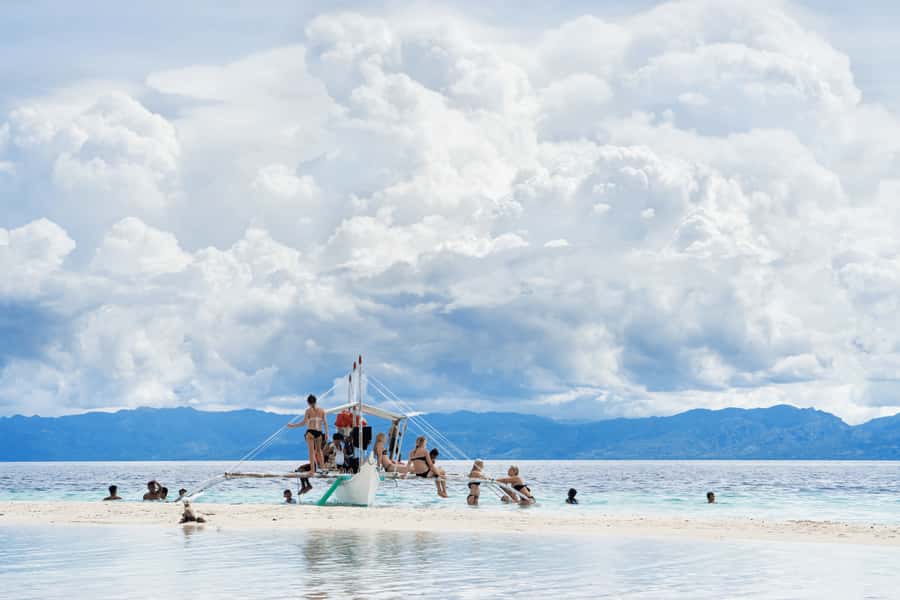 Cebu: Whale Shark, Monkey Sanctuary, & Moalboal Snorkel Tour - Moalboal Panagsama snorkeling: sardine run plus sea turtles