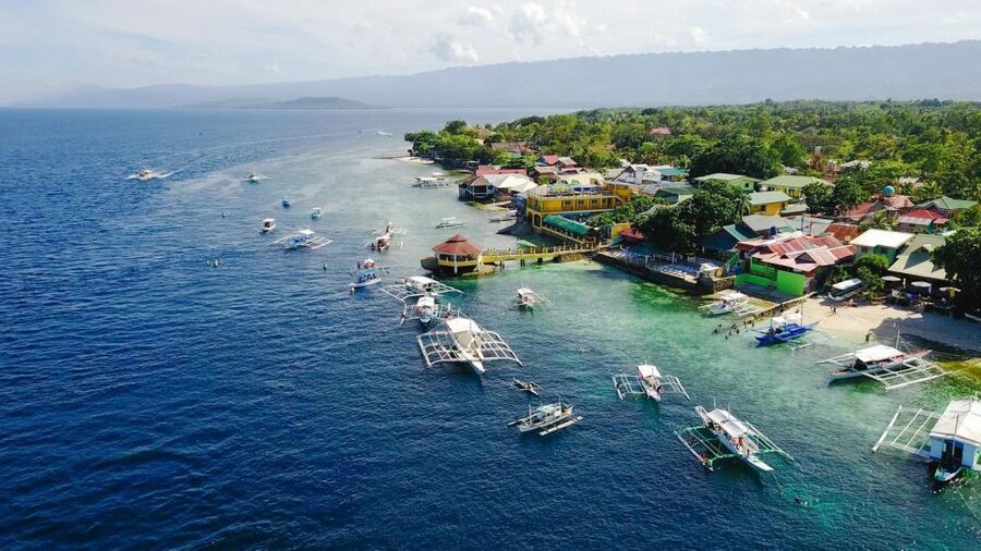 Cebu: Whale Shark, Monkey Sanctuary, & Moalboal Snorkel Tour - What the GoPro rental changes about the day