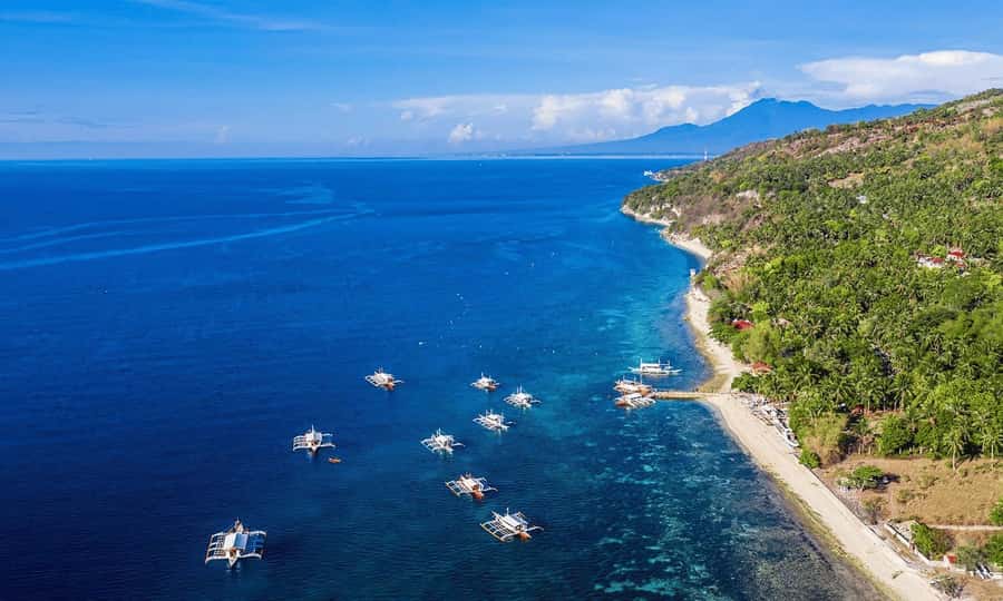 Cebu: Whale Shark, Monkey Sanctuary, & Moalboal Snorkel Tour - Gear checklist that stays true to what’s provided