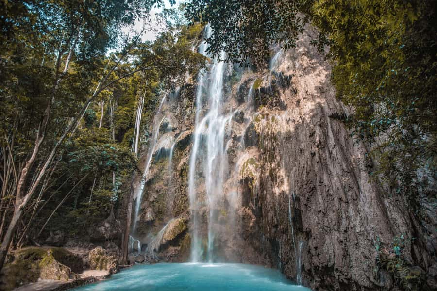 Cebu: Whale Shark, Monkey Sanctuary, & Moalboal Snorkel Tour - Pickup timing and the long day logistics you should expect
