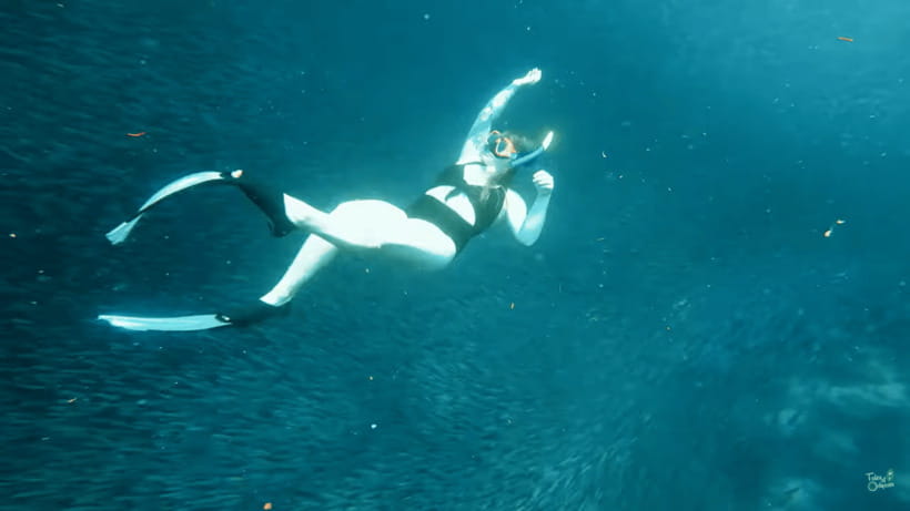 Cebu: Whale Shark Oslob and Moalboal Snorkeling Adventure - Price and Value: Is $119 a Fair Deal for This Cebu Combo?
