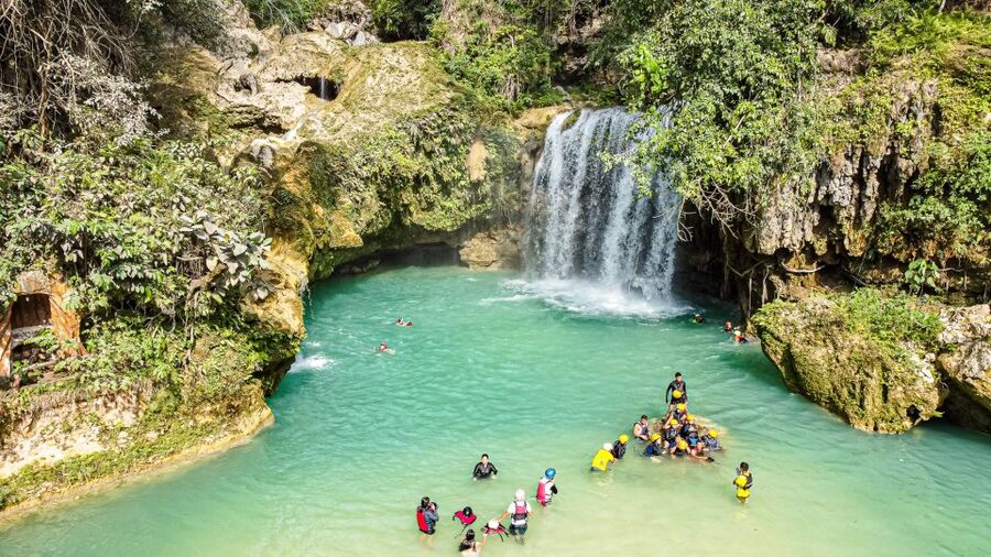Cebu: Whale Shark Snorkeling & Kawasan Canyoning Tour - Who Should Book (and Who Should Skip)