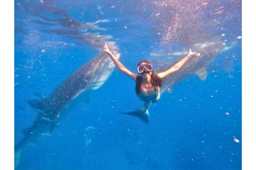 Cebu: Whale Shark Swim and Kawasan Canyoneering Group Tour - Who should book this Cebu whale shark and Kawasan combo