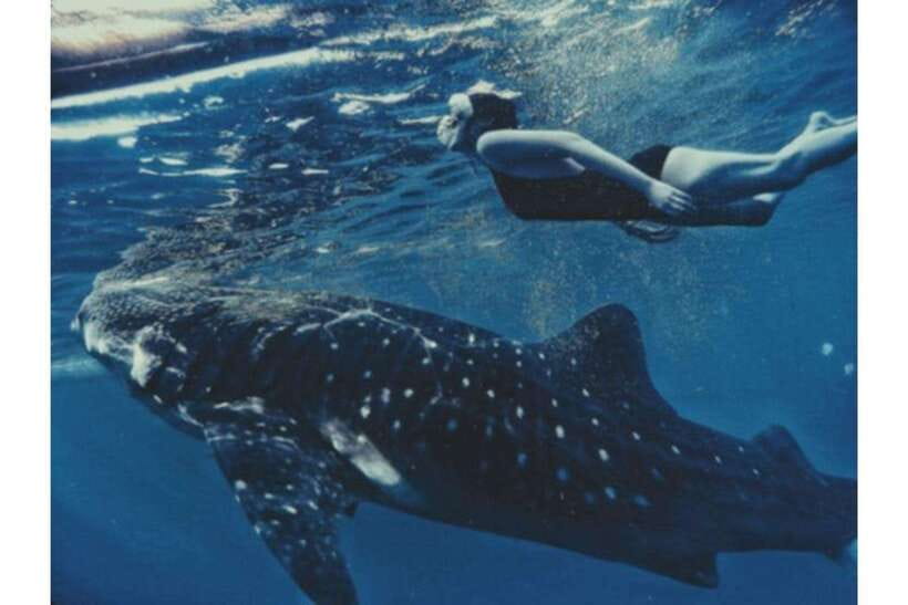 Cebu: Whale Shark Swim and Kawasan Canyoneering Group Tour - Cebu in one day: whale sharks in Oslob, canyons at Kawasan