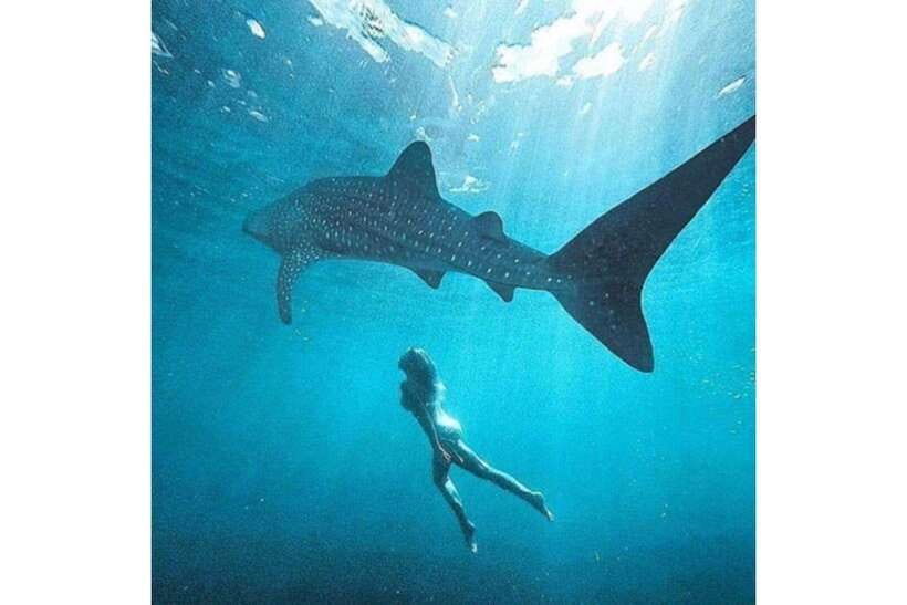 Cebu: Whale Shark Swim and Kawasan Canyoneering Group Tour - Gear, rules, and what to bring so you stay comfortable