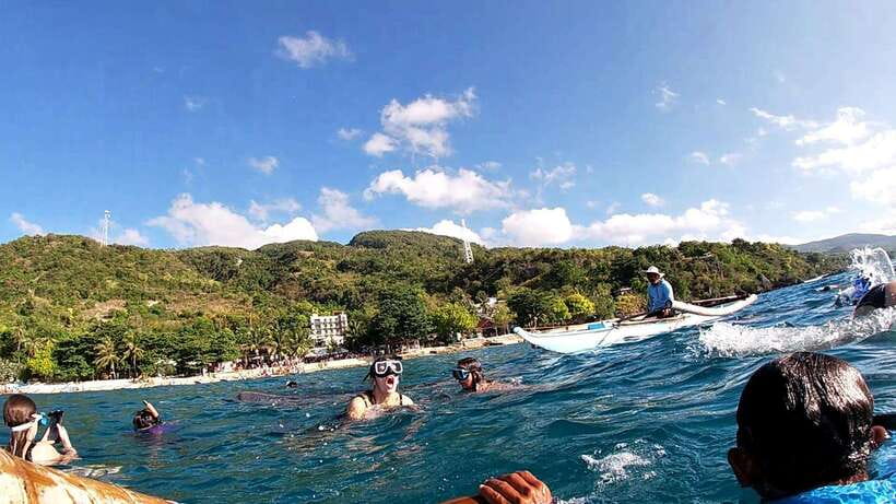 Cebu: Whale Shark Swim, Kawasan Falls & Moalboal Sardine Run - Moalboal Sardine Run Snorkeling, Turtle Point, and Sea Turtles
