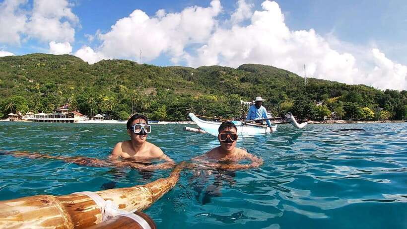 Cebu: Whale Shark Swim, Kawasan Falls & Moalboal Sardine Run - Price and Value Around $122: What You’re Paying For