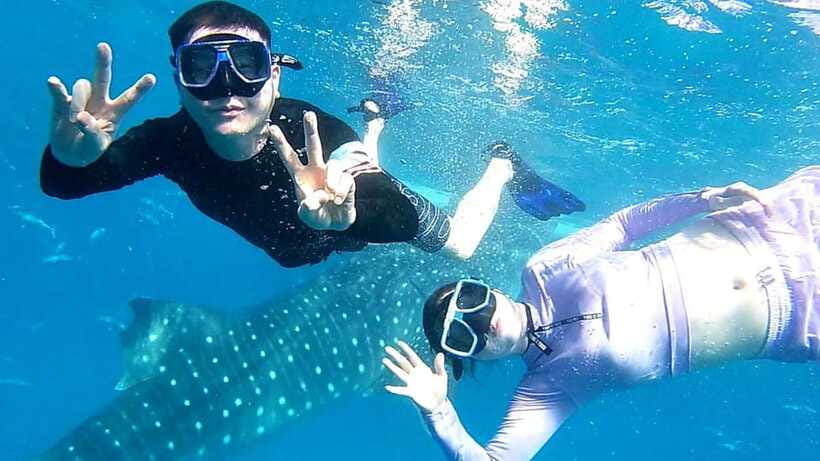 Cebu: Whale Shark, Tumalog Waterfall, and Moalboal Tour - Who should book this tour, and who should skip it